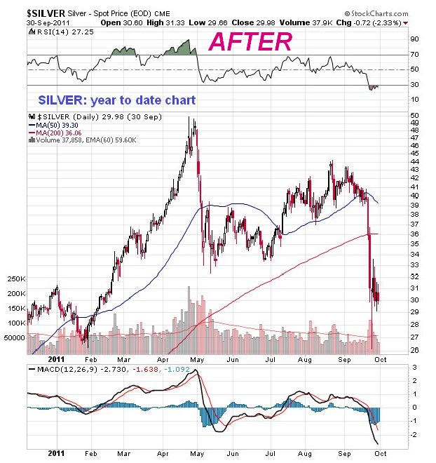 Silver Chart 2011